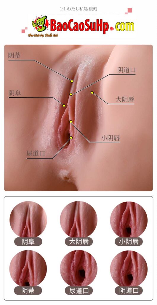 Mông Giả Nguyên Khối Hashimoto Koyuki 9kg – Chuẩn Idol "Chubby Girlfriend" Mong gia nguyen khoi Hashimoto Nao mo phong IDol 8 530x1024 - Mông Giả Nguyên Khối Hashimoto Koyuki 9kg – Chuẩn Idol "Chubby Girlfriend"